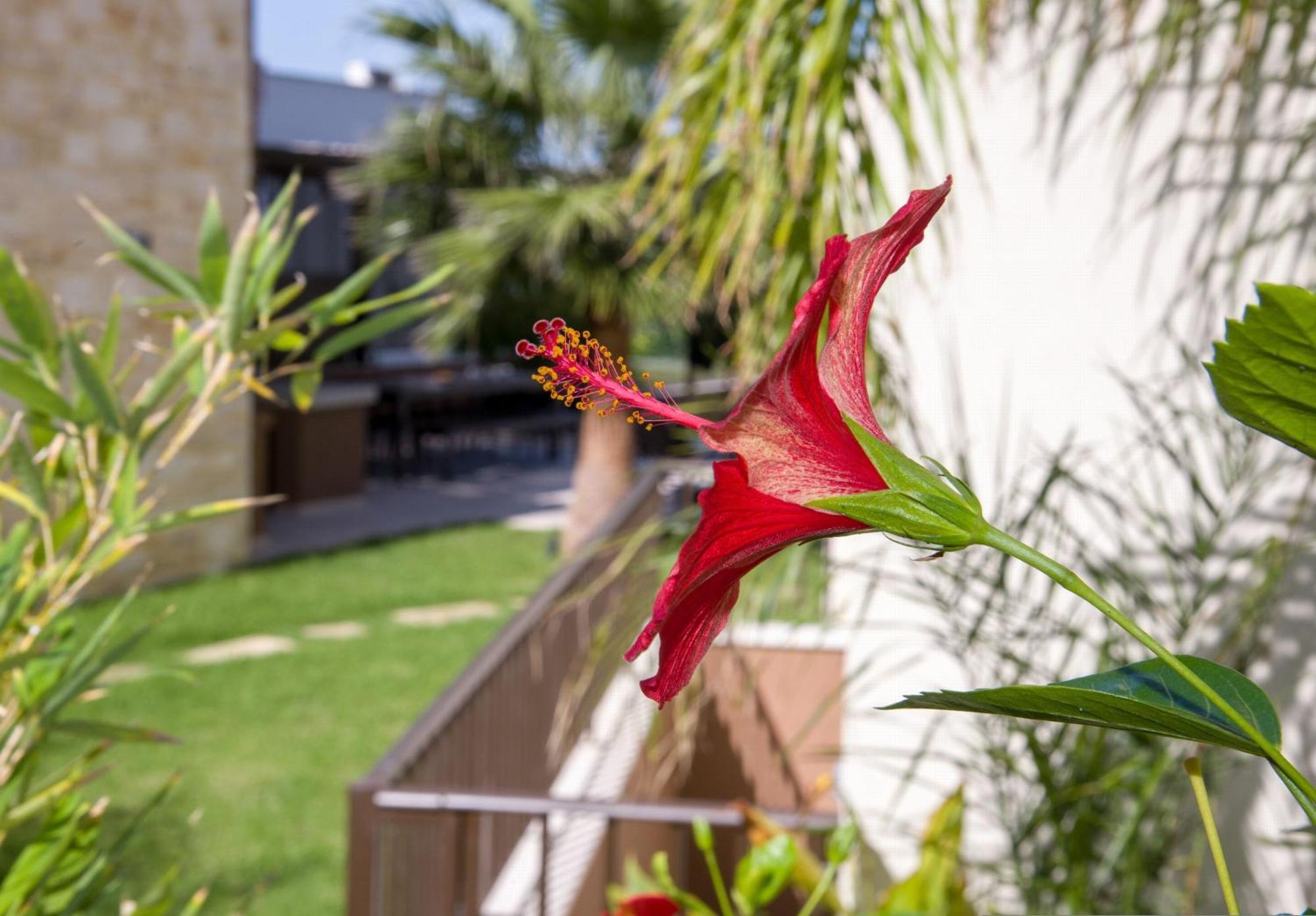Almi-Cove Hilltop Villas Almirida Esterno foto